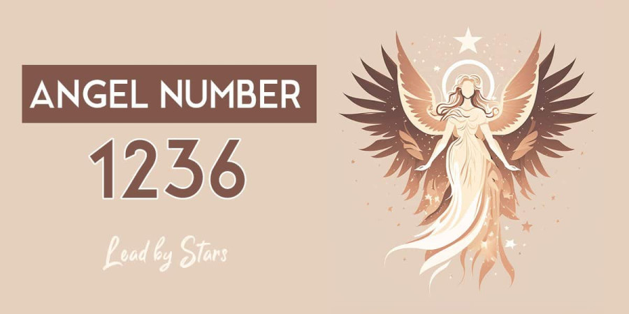 Decoding Angel Number 1236: Significance in Twin Flame Journeys