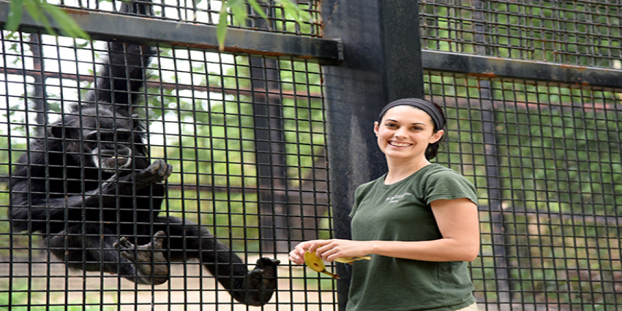 The Curious Case of the Zookeeper and the Chimpanzee Toe