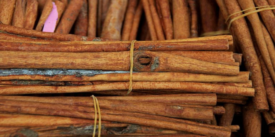 Cinnamon and Divination: Unlocking the Spice's Mystical Meaning