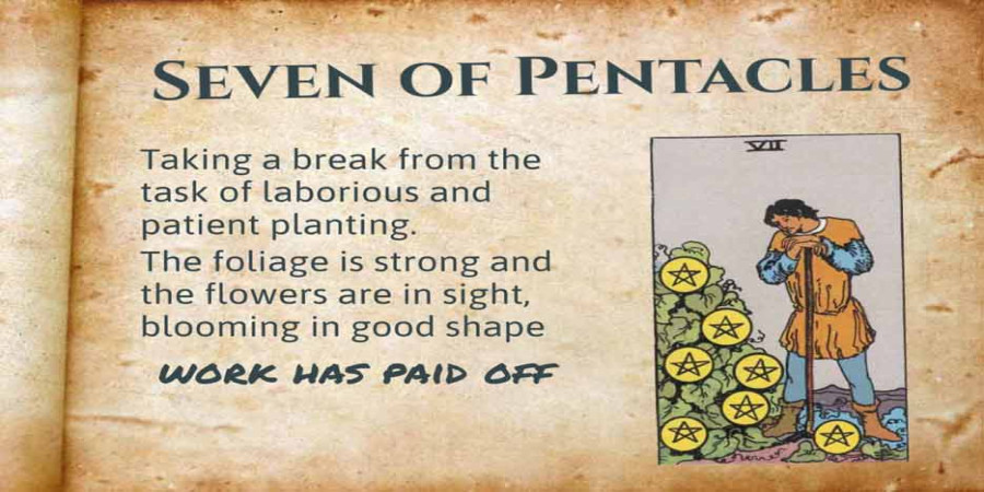 Understanding the Seven of Pentacles as Feelings: Patience, Contemplation, and Reassessment