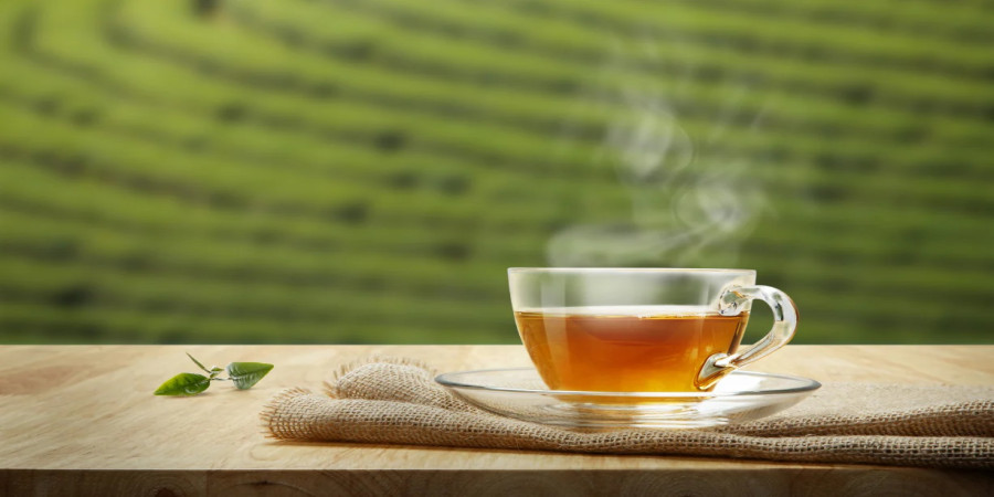 Himalayan Tea: A Cautionary Tale about Gout and Hangovers