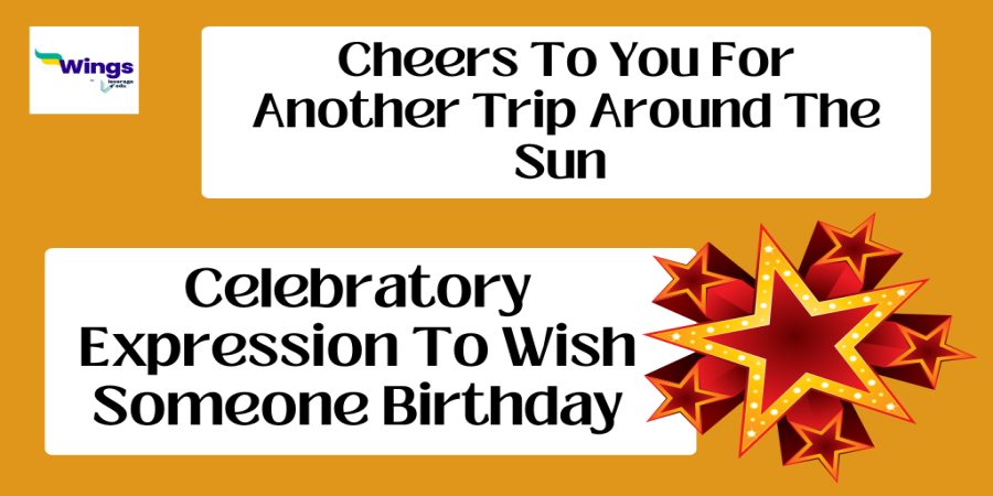 Cheers to Another Year Around the Sun: Celebrating Birthdays and the Journey of Life