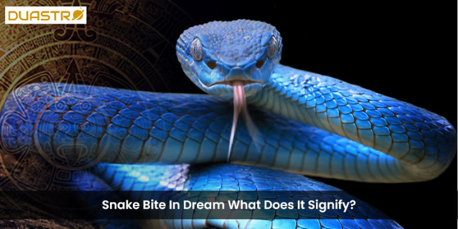 Exploring the Spiritual Meaning of Snake Encounters